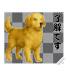 犬の メッセージ スタンプ 46（個別スタンプ：4）