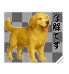 犬の メッセージ スタンプ 46（個別スタンプ：5）