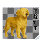 犬の メッセージ スタンプ 46（個別スタンプ：6）