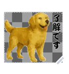 犬の メッセージ スタンプ 46（個別スタンプ：9）