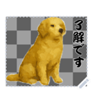 犬の メッセージ スタンプ 46（個別スタンプ：10）