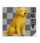 犬の メッセージ スタンプ 46（個別スタンプ：12）