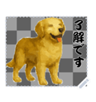 犬の メッセージ スタンプ 46（個別スタンプ：13）