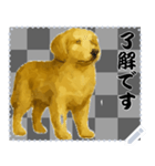 犬の メッセージ スタンプ 46（個別スタンプ：14）