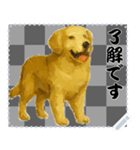 犬の メッセージ スタンプ 46（個別スタンプ：16）