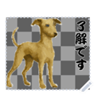 犬の メッセージ スタンプ 86（個別スタンプ：3）
