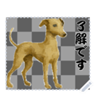 犬の メッセージ スタンプ 86（個別スタンプ：5）