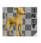 犬の メッセージ スタンプ 86（個別スタンプ：7）