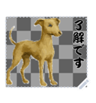 犬の メッセージ スタンプ 86（個別スタンプ：8）