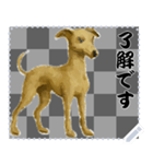 犬の メッセージ スタンプ 86（個別スタンプ：12）