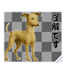 犬の メッセージ スタンプ 86（個別スタンプ：13）
