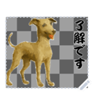 犬の メッセージ スタンプ 86（個別スタンプ：16）