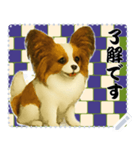 犬の メッセージ スタンプ 116（個別スタンプ：3）