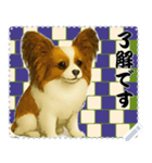 犬の メッセージ スタンプ 116（個別スタンプ：5）