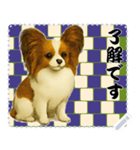 犬の メッセージ スタンプ 116（個別スタンプ：6）