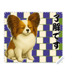 犬の メッセージ スタンプ 116（個別スタンプ：8）