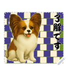 犬の メッセージ スタンプ 116（個別スタンプ：9）