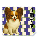 犬の メッセージ スタンプ 116（個別スタンプ：11）