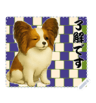 犬の メッセージ スタンプ 116（個別スタンプ：13）