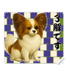犬の メッセージ スタンプ 116（個別スタンプ：14）