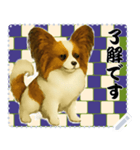 犬の メッセージ スタンプ 116（個別スタンプ：15）