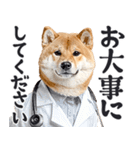 わんとも！敬語柴犬ミーム（やさしい日常）（個別スタンプ：25）