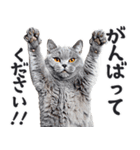にゃんとも！敬語猫ミーム（やさしい日常）（個別スタンプ：23）