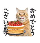 にゃんとも！敬語猫ミーム（やさしい日常）（個別スタンプ：24）