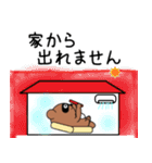 豆たぬ4 夏編（個別スタンプ：8）