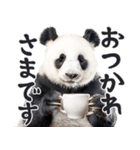 敬語リアルなパンダミーム（やさしい日常）（個別スタンプ：3）