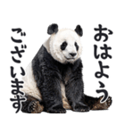 敬語リアルなパンダミーム（やさしい日常）（個別スタンプ：9）