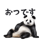 敬語リアルなパンダミーム（やさしい日常）（個別スタンプ：13）