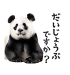 敬語リアルなパンダミーム（やさしい日常）（個別スタンプ：26）