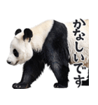 敬語リアルなパンダミーム（やさしい日常）（個別スタンプ：27）