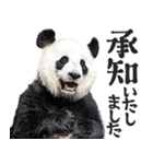 敬語リアルなパンダミーム（やさしい日常）（個別スタンプ：29）