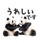 敬語リアルなパンダミーム（やさしい日常）（個別スタンプ：30）