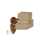 愛犬ことらの使えるスタンプ(14)（個別スタンプ：13）
