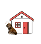 愛犬ことらの使えるスタンプ（15）（個別スタンプ：13）