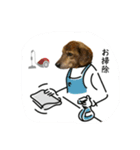 愛犬ことらの使えるスタンプ（15）（個別スタンプ：14）