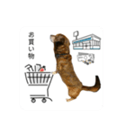 愛犬ことらの使えるスタンプ（15）（個別スタンプ：16）