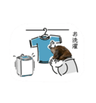 愛犬ことらの使えるスタンプ（15）（個別スタンプ：17）