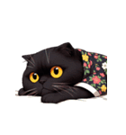 花柄シャツを着た黒猫 （NT） v.3（個別スタンプ：22）