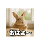 ポジティブなうさぎ（個別スタンプ：1）