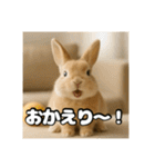 ポジティブなうさぎ（個別スタンプ：3）