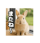 ポジティブなうさぎ（個別スタンプ：7）