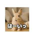 ポジティブなうさぎ（個別スタンプ：8）
