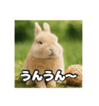 ポジティブなうさぎ（個別スタンプ：9）