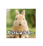 ポジティブなうさぎ（個別スタンプ：11）