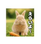 ポジティブなうさぎ（個別スタンプ：13）