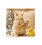 ポジティブなうさぎ（個別スタンプ：14）